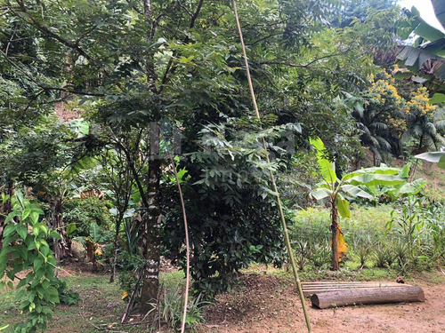 Terreno Para Chácara À Venda Em Gaspar/sc - 1409c