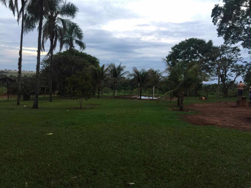 Imagem 2 de 4 de Fazenda Dupla Aptidão Município Prata