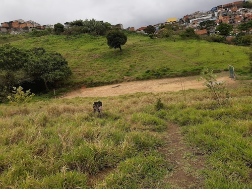 Imagem 1 de 19 de Terreno À Venda, Jardim Maria Cecília - Ferraz De Vasconcelos/sp - 2071