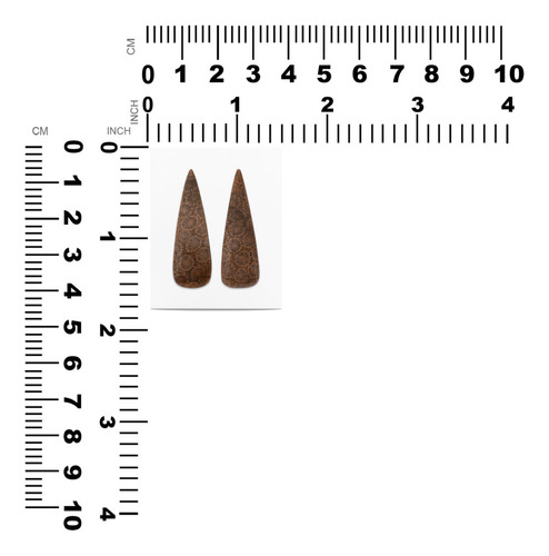 Cabujón Triángulo Coral Fósil 34×11 Mm 1 Par
