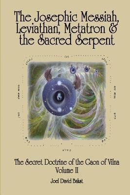 Libro The Secret Doctrine Of The Gaon Of Vilna Volume Ii ...