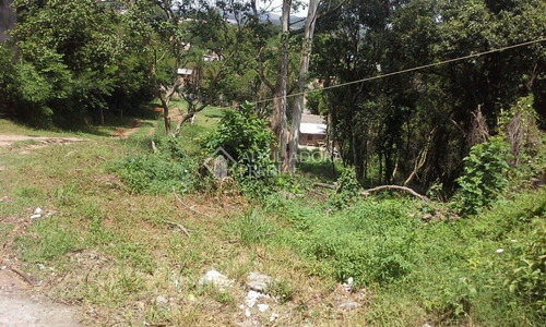 Imagem 4 de 6 de Terreno - Lomba Do Pinheiro - Ref: 282949 - V-282949