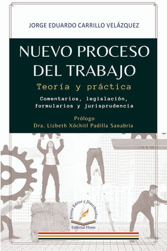 Nuevo Proceso Del Trabajo (teoría Y Práctica)