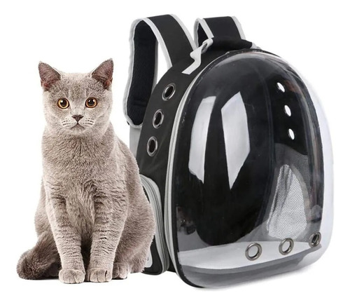 Bolso Mochila Transporte Gatos Perros Mascotas Chicas Viajes