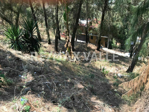 Imagen 4 de 8 de Terreno En Venta.