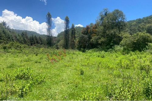 Venta De Terreno Para Para Desarrollar En Tecomatlan, Edomex. Por La Carretera Principal A Malin...