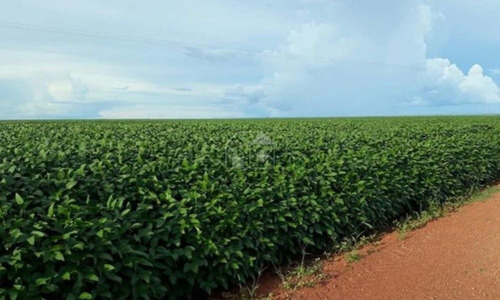 Imagem 8 de 8 de Fazenda Em Divinópolis Do Tocantins - 2808