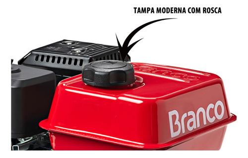 Motor Barco Branco 7 Cv - 4temp Popa E Rabeta Completa 1.70