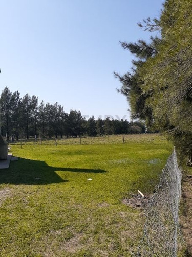Imagen 5 de 12 de Campo De 9 Hectáreas - Av. 44 252 Y 254. 5 Parcelas Con Partidas Individuales.-