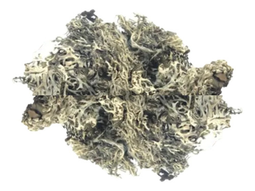 Pulmonaria 100 Gr