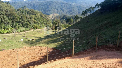 Imagem 8 de 9 de Chácara À Venda No Bairro Testo Alto - Pomerode/sc - 2261c