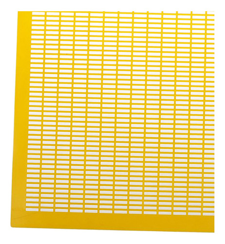 Prático Quadro Exclusão De Abelha Rainha Amarelo
