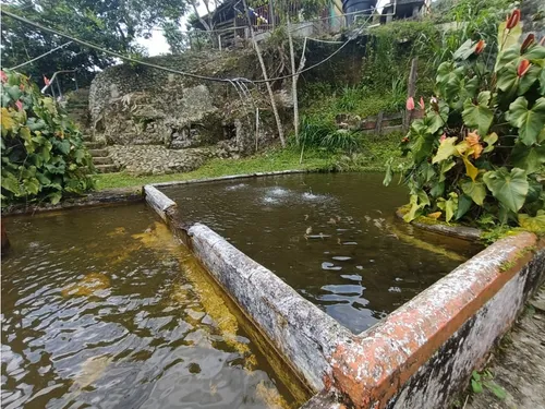 Se Vende Finca Chalet En Calarcá - Quindío