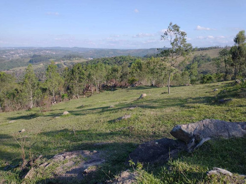 Imagem 7 de 13 de Os Melhores Lotes Da Região De São Roque