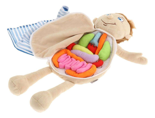 Modelo De Anatomía Del Cuerpo Humano 3d Puzzle Soft Doll