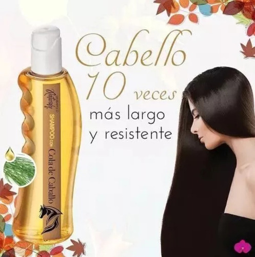 Shampoo Con Cola De Caballo 245ml Naturaly Arabela Original