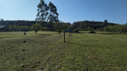 Terreno En Federación (entre Ríos)