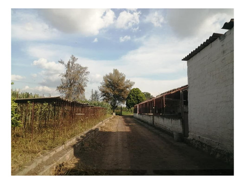Imagen 9 de 30 de Terreno En Venta Cerca Del Aeropuerto