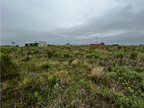 Vendo Lote De 1 Hectárea En San Justo, Entre Ríos.