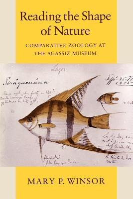 Libro Reading The Shape Of Nature: Comparative Zoology At...