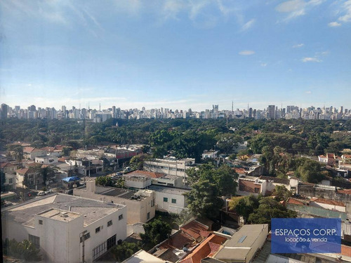 Imagem 7 de 21 de Conjunto Comercial Para Locação, 115m² - Jardim Paulista - São Paulo/sp - Cj2065