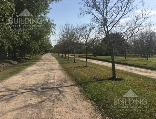 Imagen 4 de 10 de Terreno - Campos De Roca-lote-escriturado