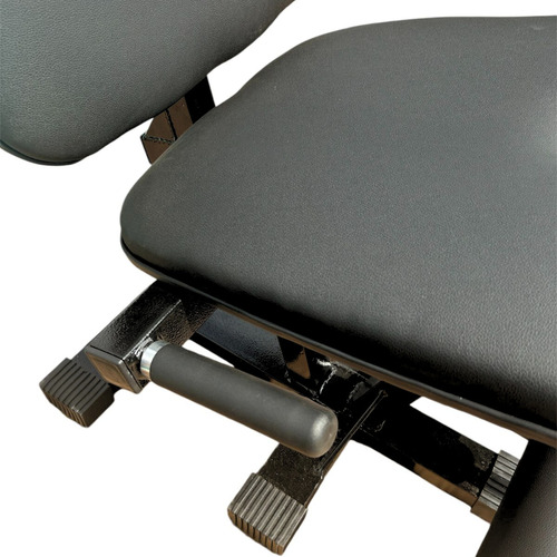 Kit Cadeira Extensora Anilhada Academia + 4 Anilhas De 10kg