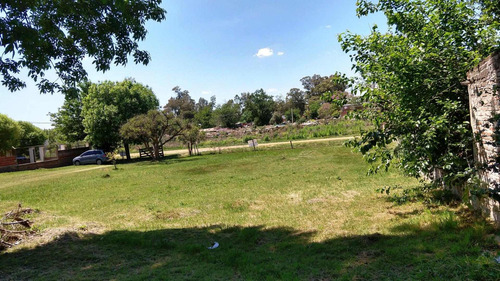 Imagen 2 de 8 de Vendo En El Rulo De Ruta 12 Y 18