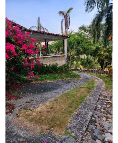 Vendo Finca Támesis 20000 M²