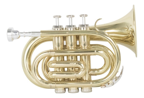 Trompeta De Mano Wesner Con Estuche Mod. Stp1000-g
