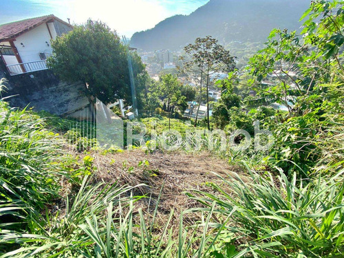 Imagem 7 de 13 de Terreno - Ref: 6420