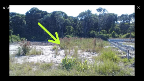 Imagem 13 de 14 de Terreno Na Praia Do Ervino. São Francisco Do Sul