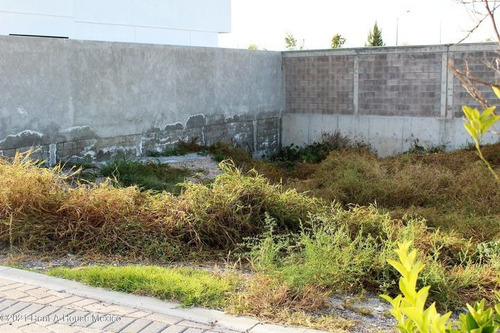 Imagen 9 de 12 de Se Vende Terreno De 195 Mts2 En La Carlota Buena Ubicacion