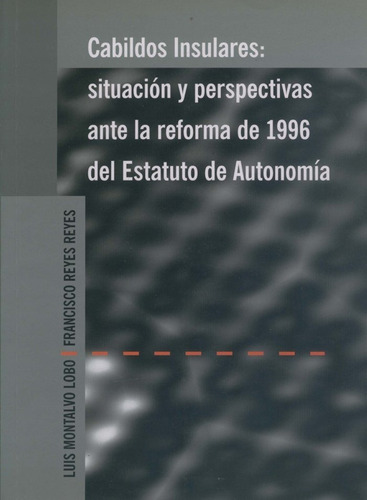 Libro Cabildos Insulares, Situacion Y Perspectivas Ante L...