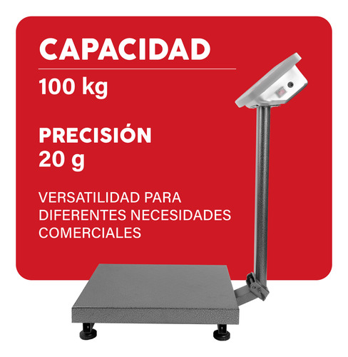 Báscula Industrial Rhino Baple-100, 100 Kg, Mástil Incluido Gris Oscuro