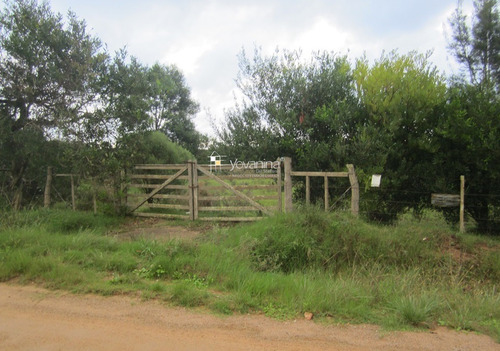Campo En Venta En Cuchilla Alta Canelones De 21 Hectáreas Ref. Y 150