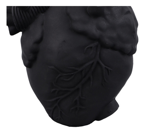 Jarrón De Corazón, Escultura De Resina, Arte Anatómico Creat