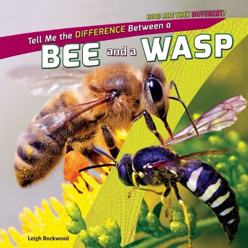 Tell Me The Difference Between A Bee And A Wasp (how Are The