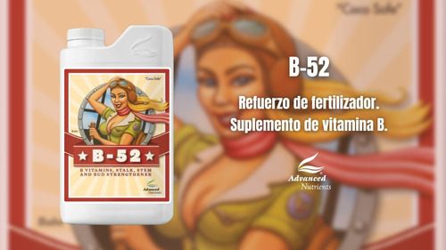 Advanced Nutrients - B-52 4l