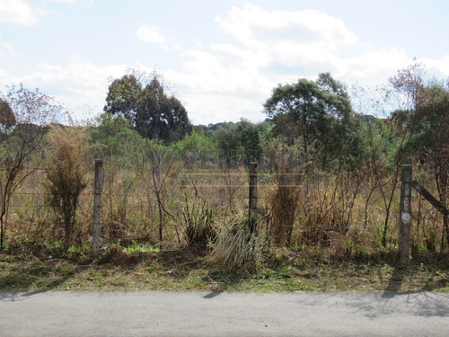 Imagem 7 de 15 de Area - Centro - Ref: 2404 - V-2404