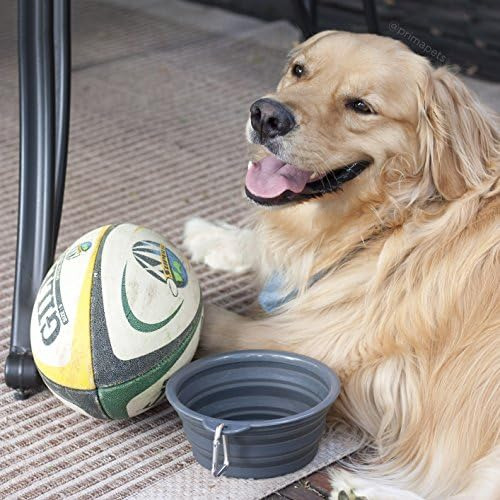 Prima Pets Sale Cuenco Plegable De Silicona Para Viaje Con C