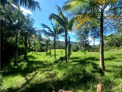 Lote Para Arriendo Via Don Diego Llanorande Perfecto Para Comercio
