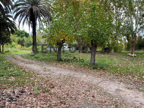 Imagen 4 de 11 de Lote Para Desarrollo