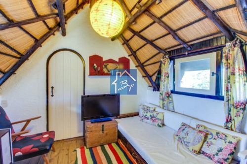 Casa En Alquiler, Pinares, Punta Del Este- Ref: 936