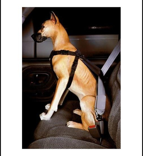 Arnés De Seguridad Para Automóvil Omnipet Kwik Klip, Talla X