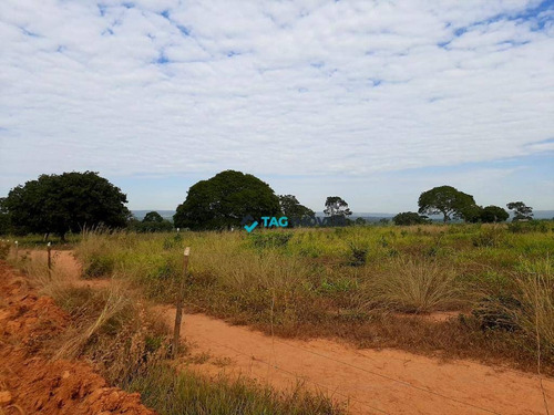 Imagem 13 de 14 de Fazenda À Venda - Pirapora/mg - Fa0011