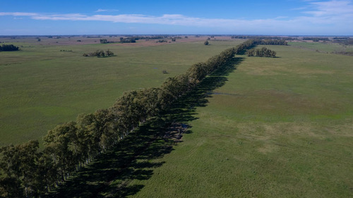 Campo En Venta Mixto 188ha San Andres De Giles