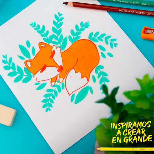 Colores Prismacolor Junior Escolar 12 Lápices