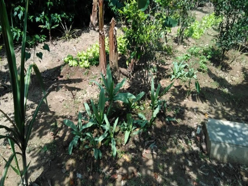 Chácara Em Mongaguá - 3096 - 34896566