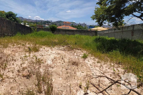 Imagem 3 de 10 de Lote À Venda No Bandeirantes - Código 278049 - 278049
